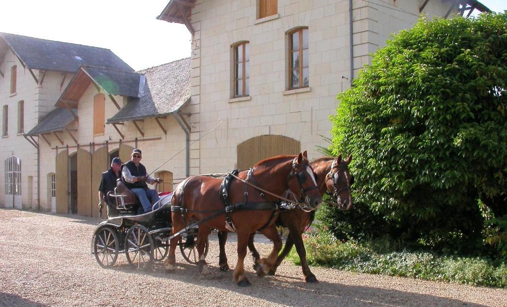 Demeure De Beaulieu Bed and Breakfast Le Coudray-Macouard Buitenkant foto