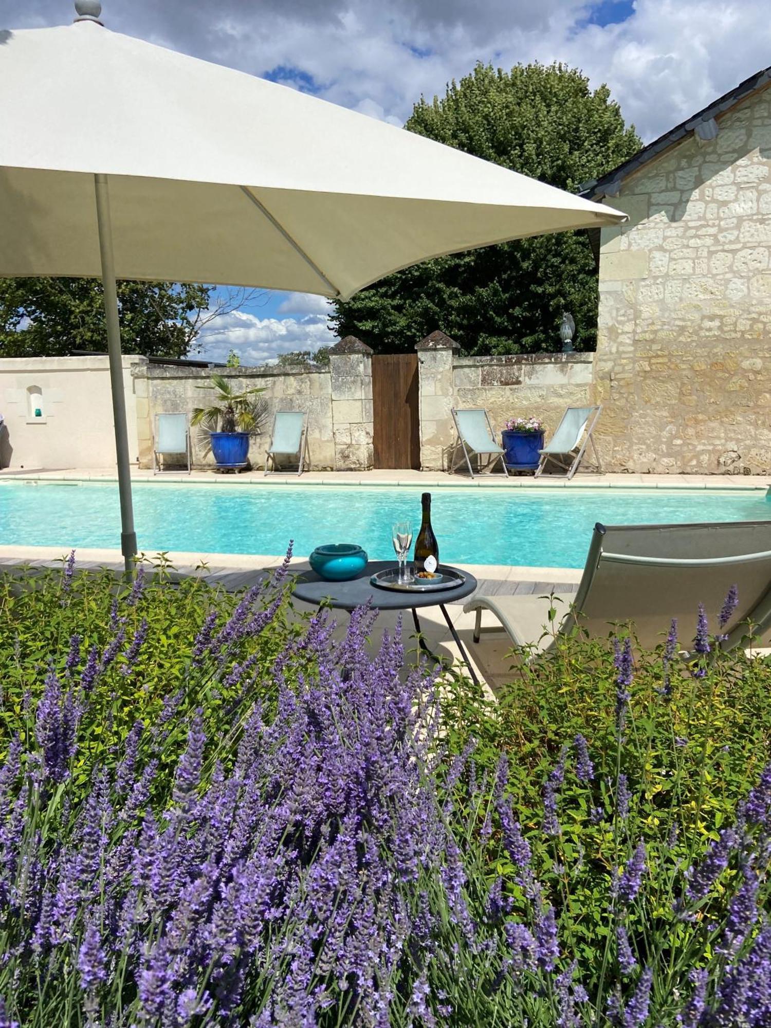 Demeure De Beaulieu Bed and Breakfast Le Coudray-Macouard Buitenkant foto