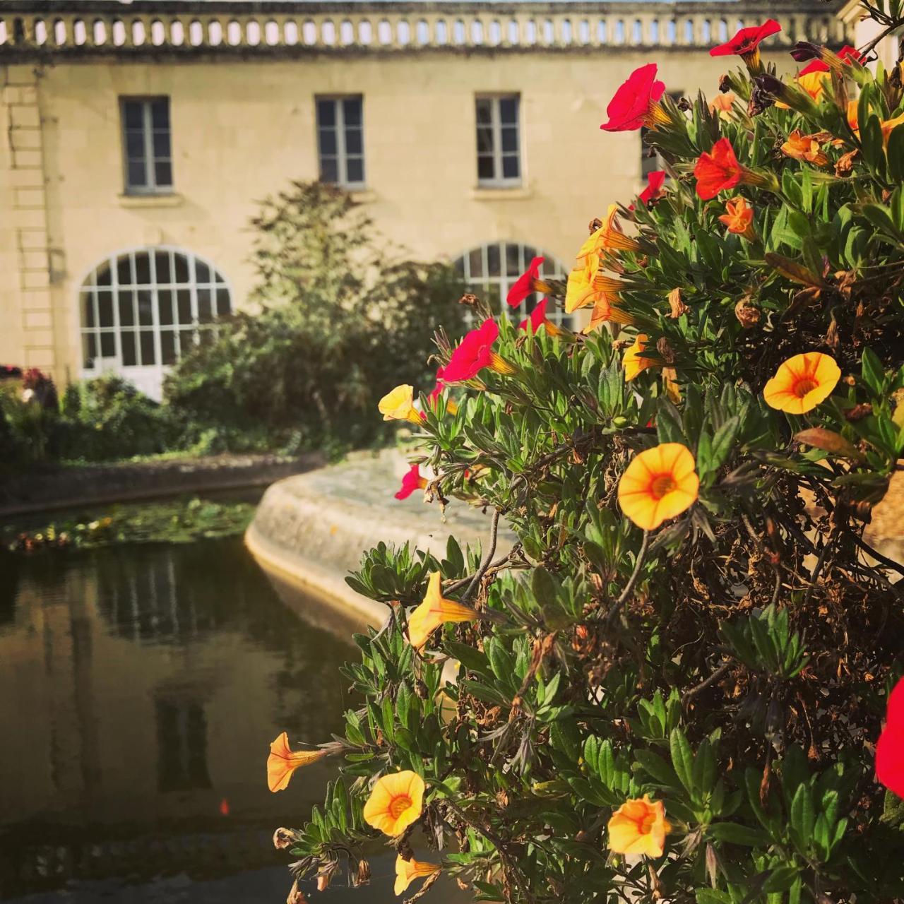 Demeure De Beaulieu Bed and Breakfast Le Coudray-Macouard Buitenkant foto